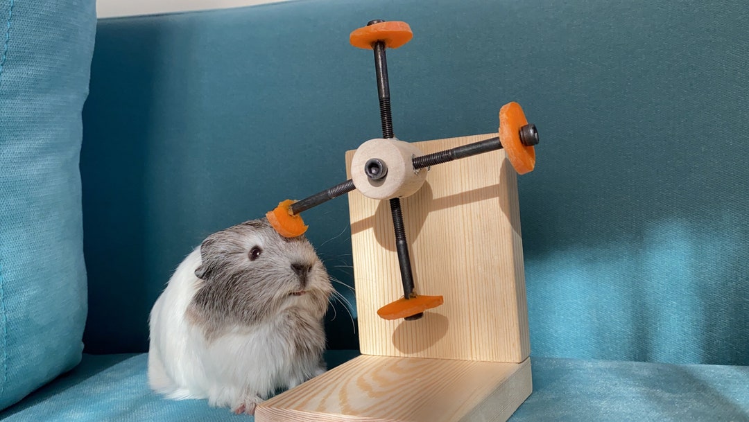 Guinea Piggles Best Guinea Pig Toys Uk Natural Handmade 14-Piece