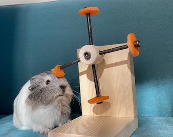 Rotating Guinea Pig Toy, Guinea Pig Feeder, Guinea Pig Wheel, Guinea Pig Food