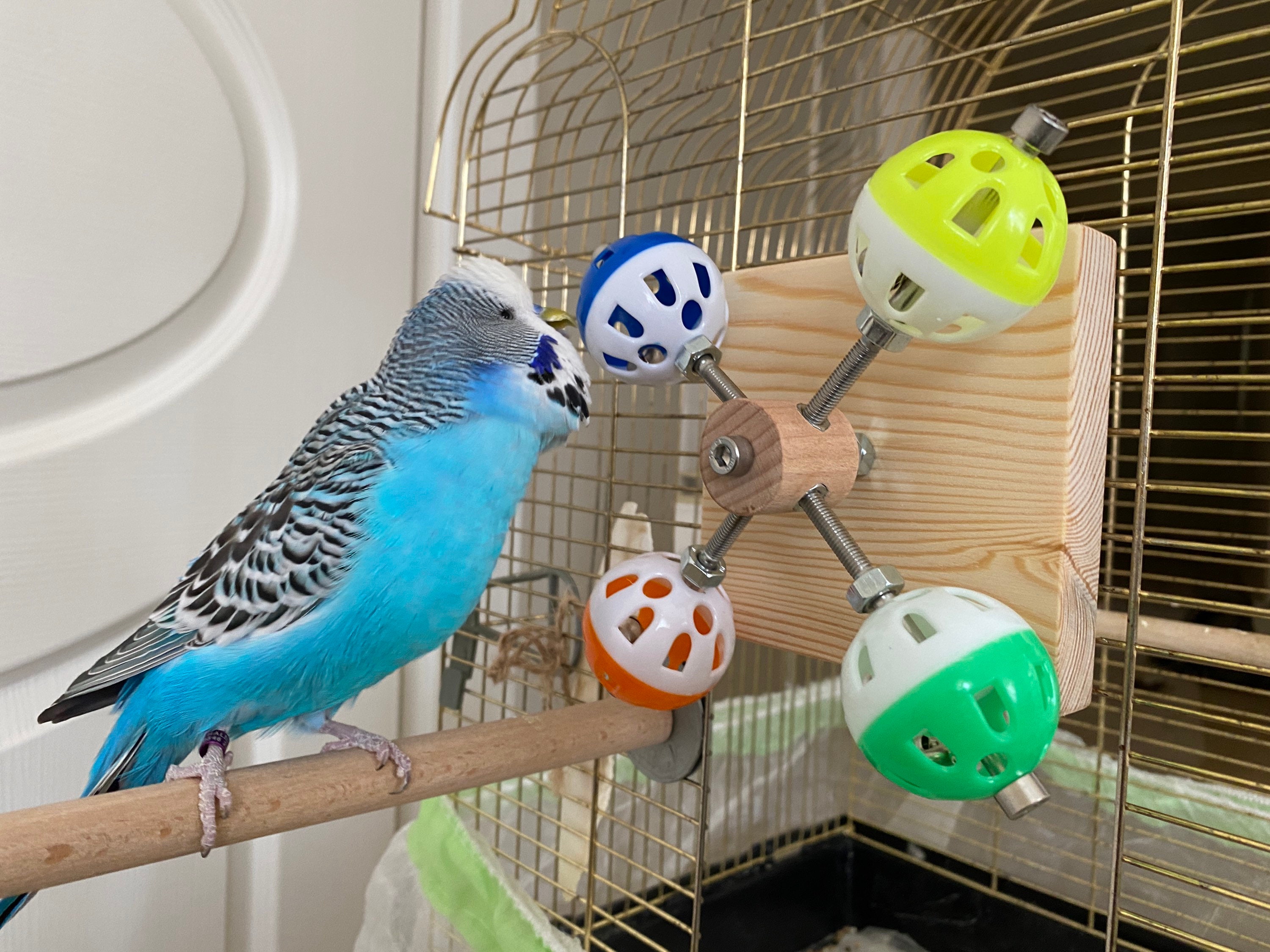 Rotating Colorful Balls Toy for Birds, Budgies, Budgerigars, Parakeets, Parrots, Cockatiels, Parrotlets, Lovebirds, Conure, Caique, Lorikeet