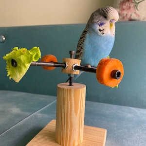 Rotating bird play stand, Toy for parakeets, budgies, parrots, lovebirds, cockatiels, Playstand, Perch for birds image 7
