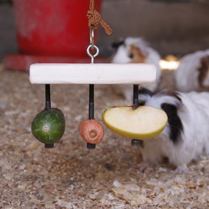 Rectangular Food Holder Toy for Guinea Pig, Rabbit, Hamster, Chinchilla image 7