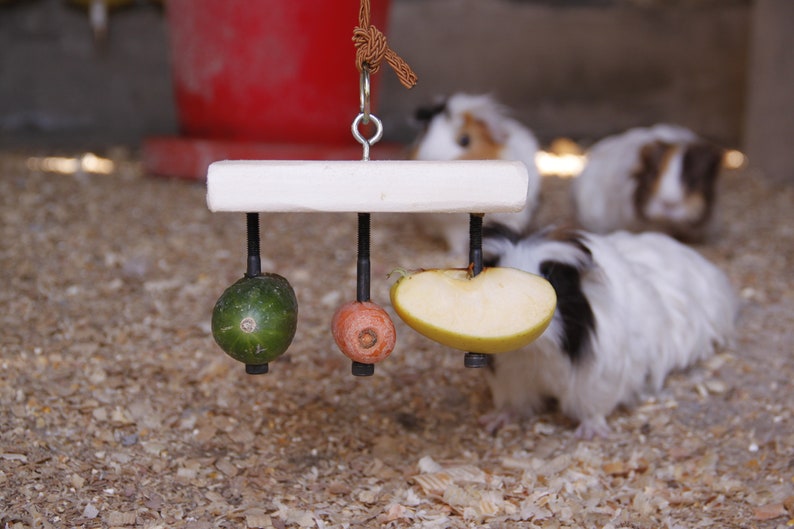Rectangular Food Holder Toy for Guinea Pig, Rabbit, Hamster, Chinchilla image 7