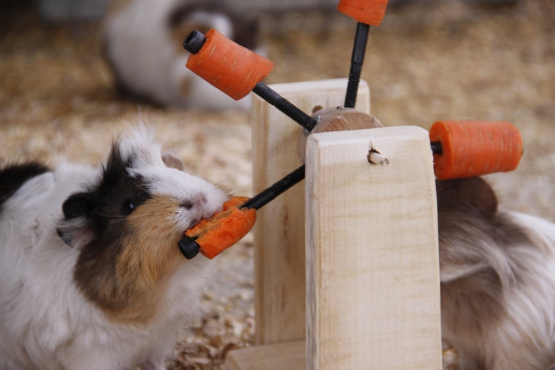 Guinea Pig-Rabbit-Hamster Feeding Toy image 6