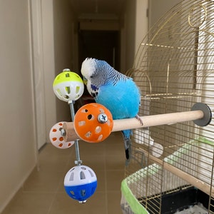 Perch Toy with Rotating Balls for Budgies, Budgerigars, Parakeets, Parrots, Cockatiels, Parrotlets, Lovebirds, Ringnecks, Conures and birds. image 6