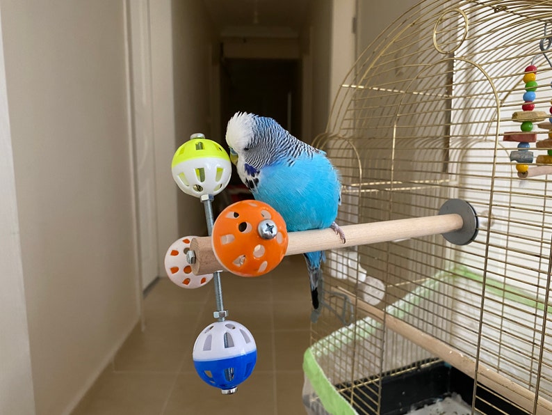 Perch Toy with Rotating Balls for Budgies, Budgerigars, Parakeets, Parrots, Cockatiels, Parrotlets, Lovebirds, Ringnecks, Conures and birds. image 6