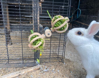 Handgemaakt speelgoedballetje voor konijnen en cavia's