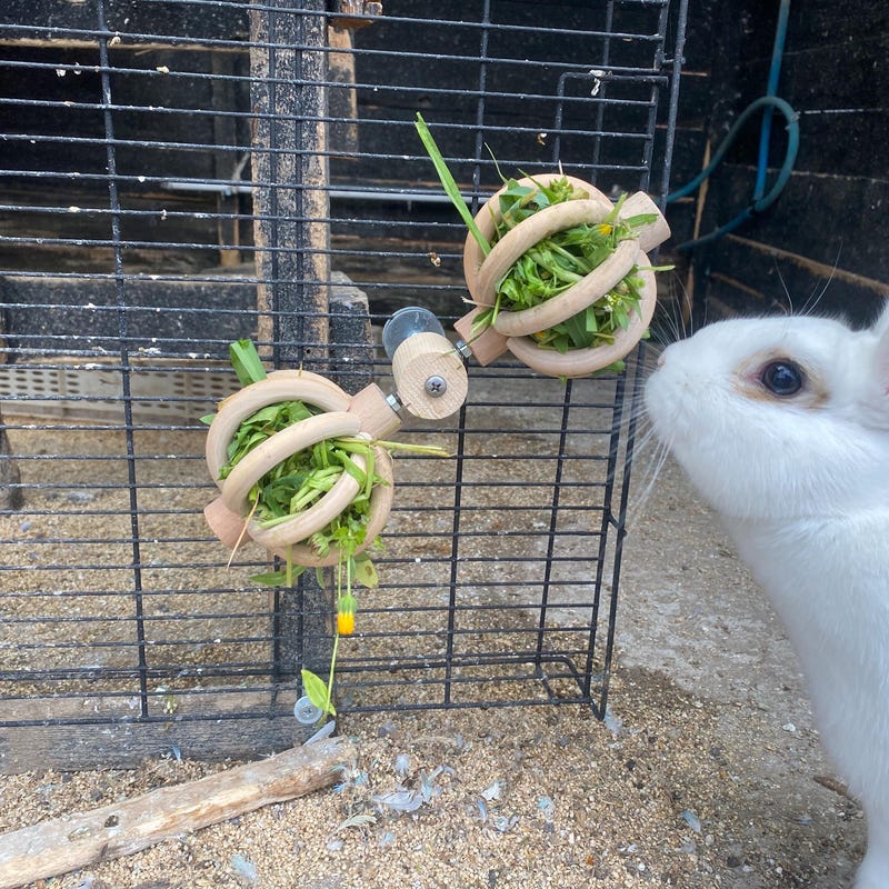 Rabbit Hay Feeder - Etsy