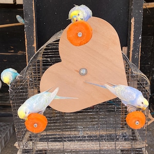 Heart Shaped Bird Ferris Wheel Toy – Wooden Cage Accessory for Budgies, Parakeets, Cockatiels & Small Parrots