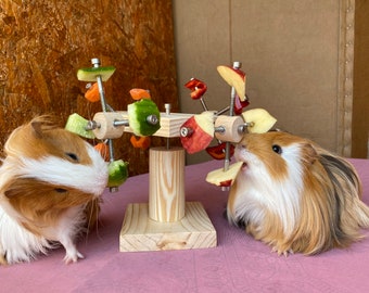 Cute guinea pig toys top
