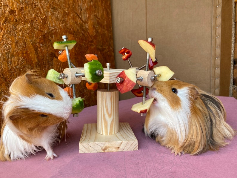 May include: Two guinea pigs eating from a wooden toy with red apple and green cucumber slices attached to it. The toy is a spinning wheel with spokes and is designed for small animals.