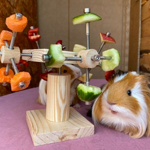 May include: A wooden toy with a spinning wheel for guinea pigs. The wheel has different fruits and vegetables attached to it, including carrots, cucumbers, and apples. Two guinea pigs are interacting with the toy.
