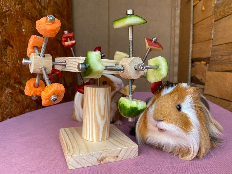 May include: A wooden toy with a spinning wheel for guinea pigs. The wheel has different fruits and vegetables attached to it, including carrots, cucumbers, and apples. Two guinea pigs are interacting with the toy.