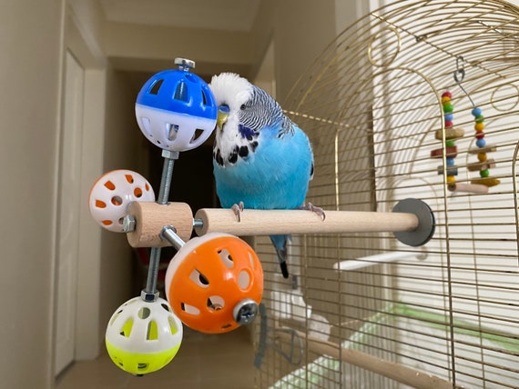 Mangeoire à oiseaux rotative pour perroquets, jouets pour la recherche de  nourriture