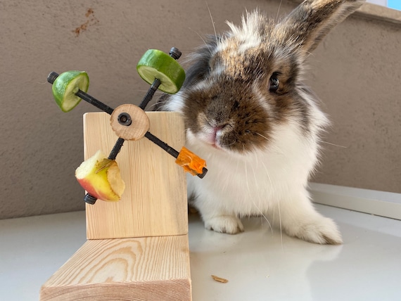 Rabbit Toy Rabbit Accessories Rabbit - Etsy