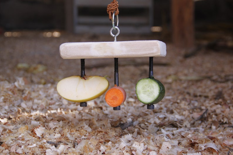 Rabbit Rectangular Food Holder Toy for Guinea Pig Hamster Chinchilla