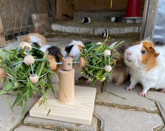 Rotating hay balls for guinea pigs, rabbits, chinchillas. Unique and handmade. Hay feeder, food dispenser, treat holder.
