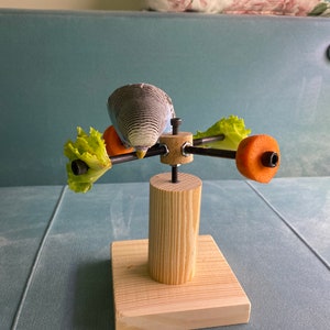 Rotating bird play stand, Toy for parakeets, budgies, parrots, lovebirds, cockatiels, Playstand, Perch for birds image 4