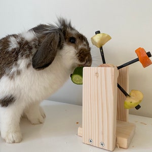 Rotating Rabbit Feeder Toy, Rabbit Food Holder, Rabbit Food, Rabbit Wheel, Rabbit Wood, Chewing Toy for Bunnies, Rabbit Gift