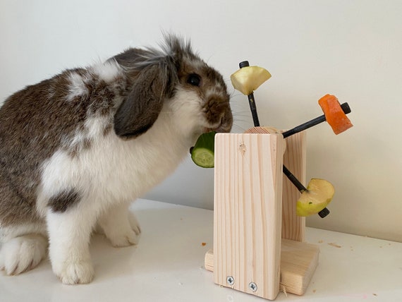 oogsten Optimistisch Roei uit Roterende Konijn Feeder Speelgoed Konijn Voedsel houder - Etsy België