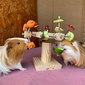May include: Two guinea pigs eating from a wooden toy with a rotating wheel of fresh vegetables, including carrots, cucumbers, and red peppers.