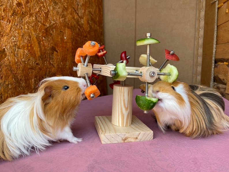 May include: Two guinea pigs eating from a wooden toy with a rotating wheel of fresh vegetables, including carrots, cucumbers, and red peppers.
