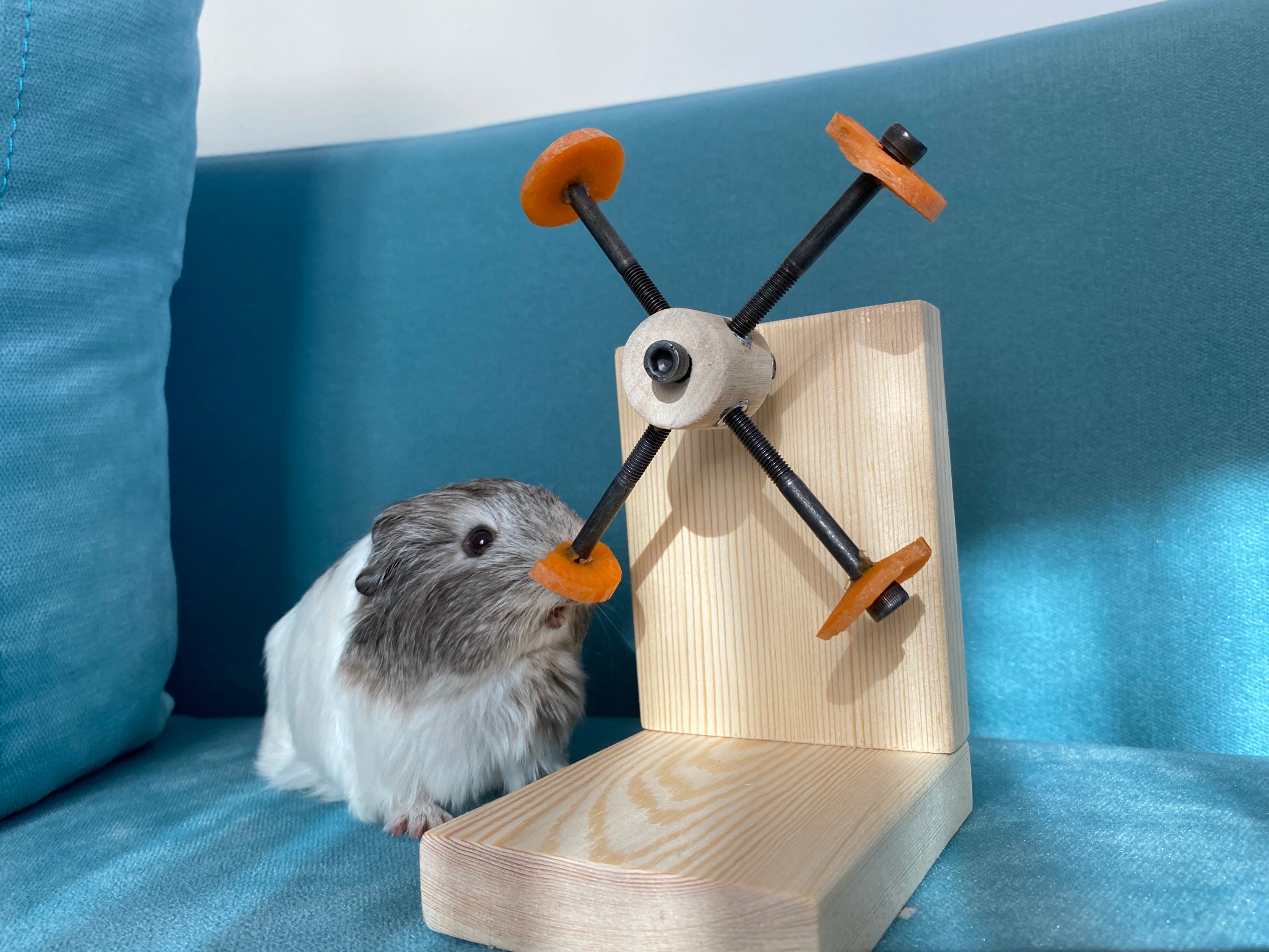 Rotating Guinea Pig Toy Guinea Pig Feeder Guinea Pig Wheel Etsy