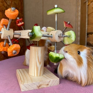 May include: A wooden toy with a rotating wheel of cucumber and carrot slices. A guinea pig is eating a cucumber slice from the wheel.