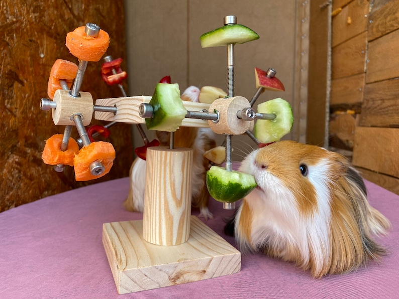 Guinea Pig Toy Cavy Toy Play Toy Guinea Pig Cage Guinea Etsy