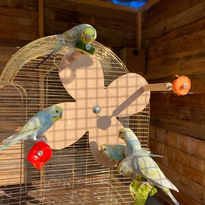 Rotating Flower Perch Wheel With Food Holders for Birds, Foraging Swing ...