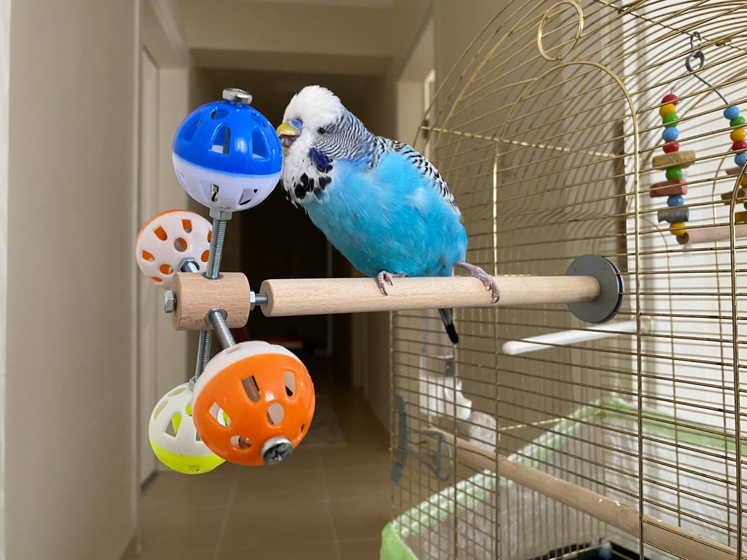 CHEAP DIY BIRD TOYS  DIY Dollar Store Bird Toys 