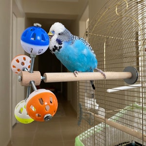 Perch Toy with Rotating Balls for Budgies, Budgerigars, Parakeets, Parrots, Cockatiels, Parrotlets, Lovebirds, Ringnecks, Conures and birds. image 1