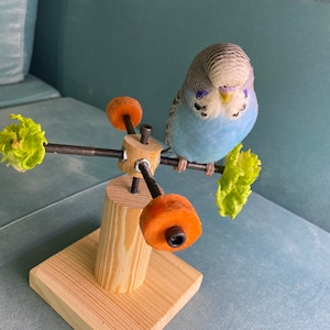 Rotating bird play stand, Toy for parakeets, budgies, parrots, lovebirds, cockatiels, Playstand, Perch for birds image 2