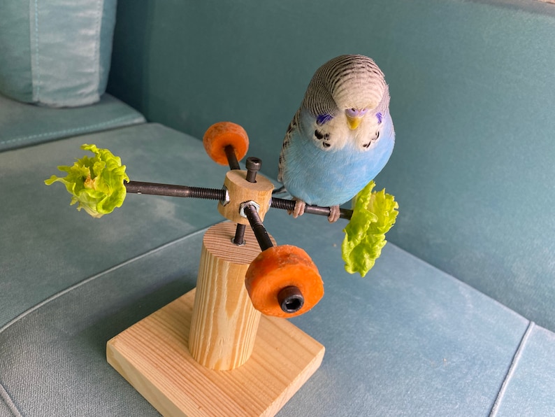 Rotating bird play stand, Toy for parakeets, budgies, parrots, lovebirds, cockatiels, Playstand, Perch for birds image 2