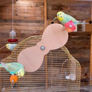 Foraging Swing for Birds, Rotating Teeter Totter Toy for Parrots, Feeder Wheel, Food Holder Playground Perches, Seesaw, Budgie, Parakeet