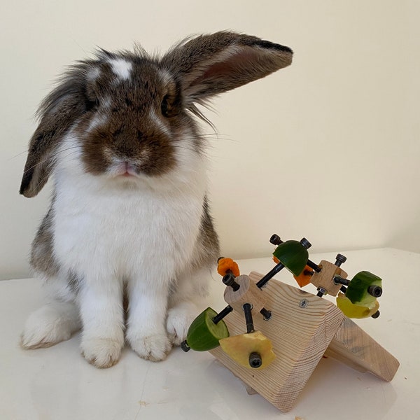 Rabbit Feeder Toy, rabbit wood toy, rotating rabbit toy, bunny toy, bunny feeder, bunny chew