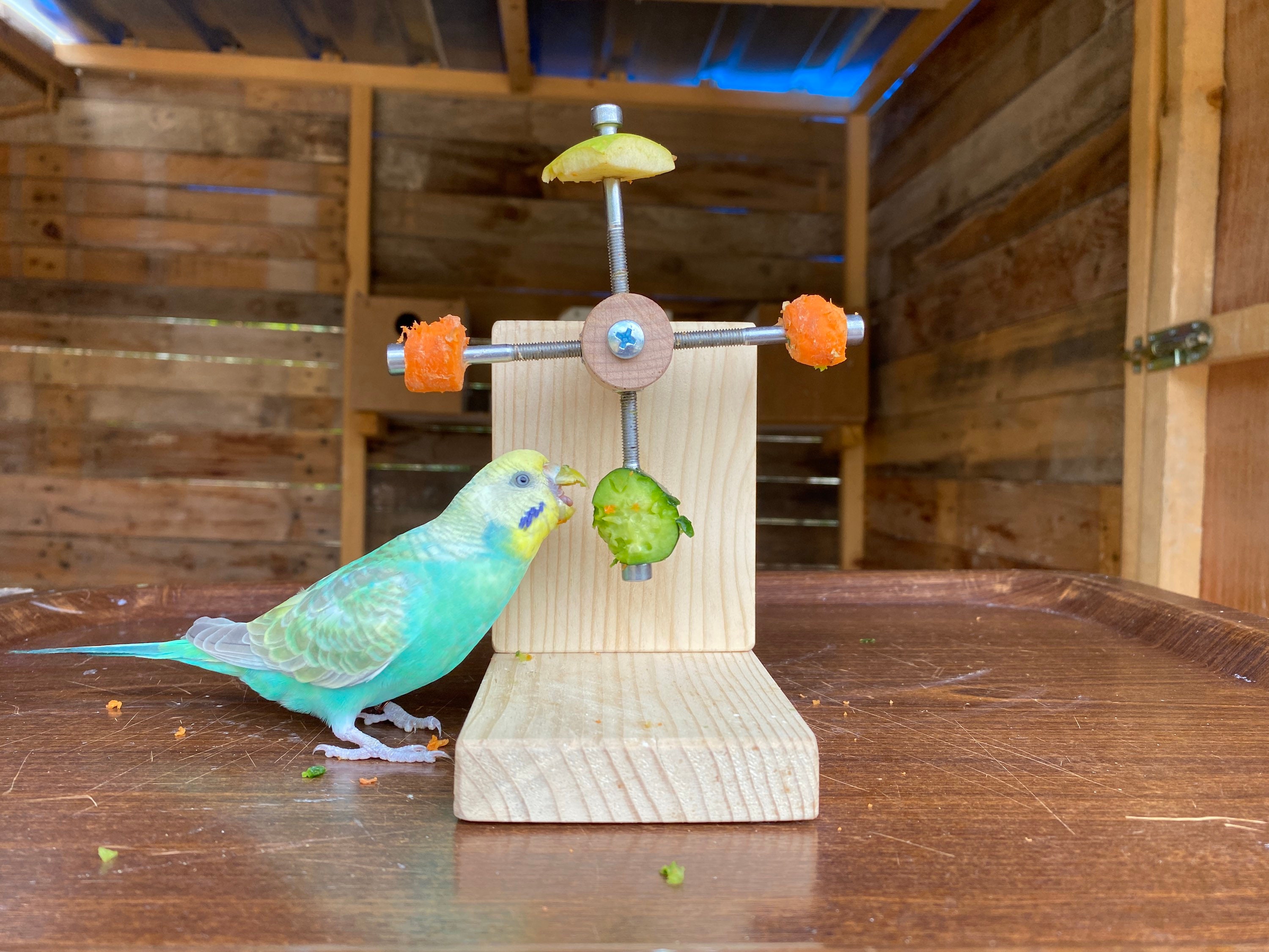 Roue De Course En Bois Pour Perroquets – Jouet D'exercice Interactif Pour Perruches, Calopsittes – Stimule L'activité Et L'intelligence – Accessoire De Cage