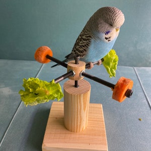 Rotating bird play stand, Toy for parakeets, budgies, parrots, lovebirds, cockatiels, Playstand, Perch for birds image 10