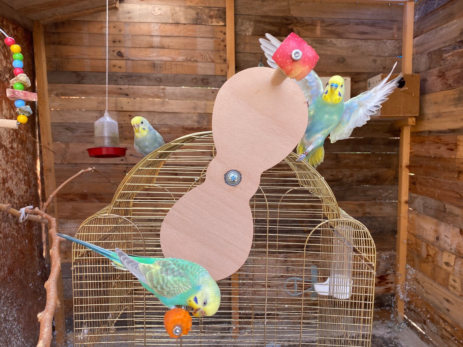 Foraging Swing for Birds Rotating Teeter Totter Toy for Etsy
