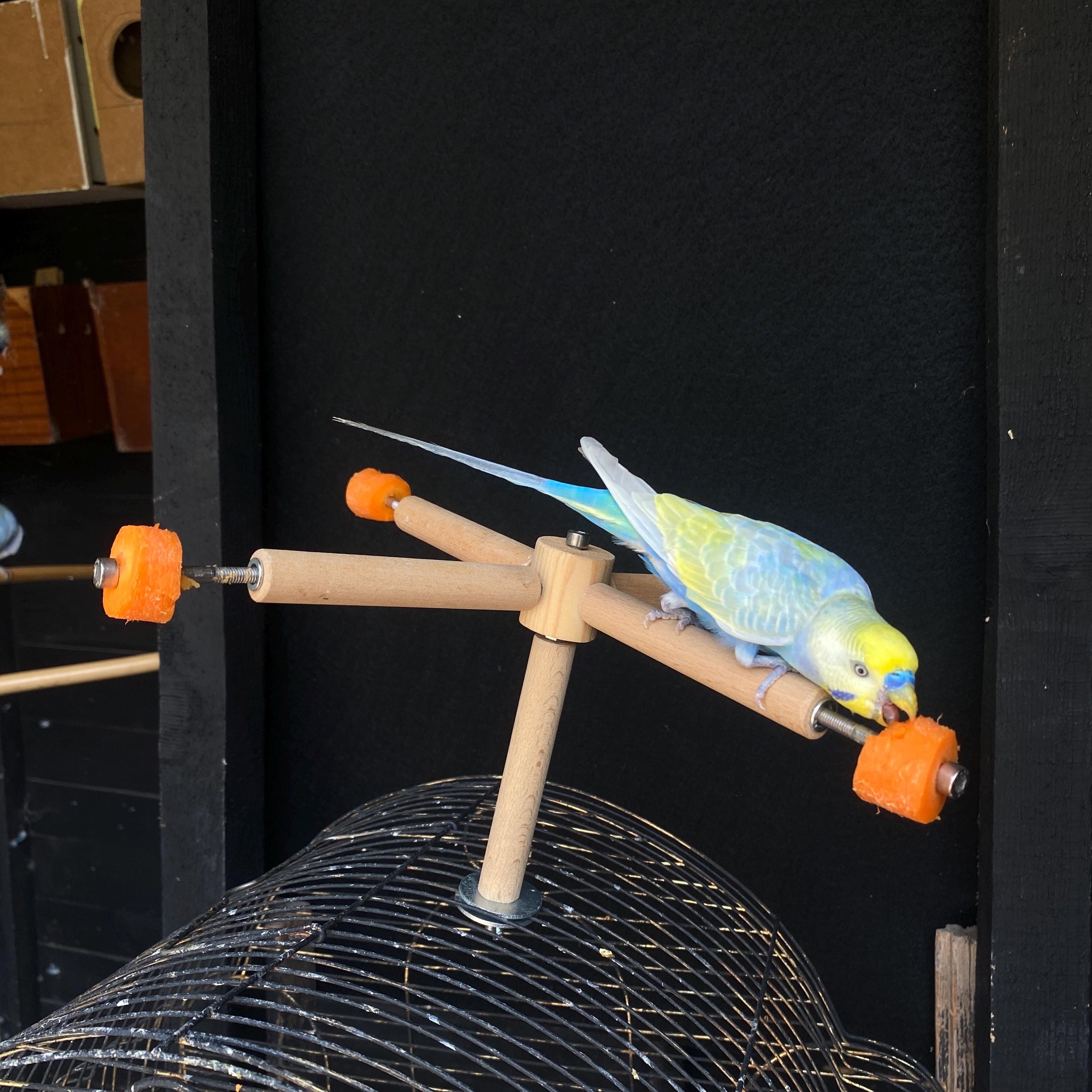 Amazon.co.jp: 鳥用おもちゃ | 回転式 楽しい インタラクティブ,中型 鳥用 スタンド ケージ おもちゃ | 運動遊び用 小型 中型  大型 コンジュー ラブバード カナリア ケージ 室内 : Pet Supplies インコ おもちゃ | 回転式 楽しい インタラクティブ | 鳥の 止まり木 スタンド 鳥用おもちゃ | 360度 回転 かじり | セキセイインコ 止まり木 ケージ アクセサリー - コンシューム ラブバード カナリア