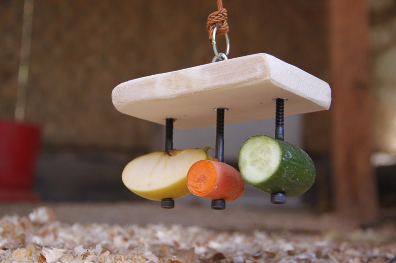 Rectangular Food Holder Toy for Guinea Pig, Rabbit, Hamster, Chinchilla image 3