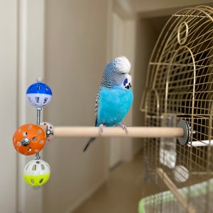 Perch Toy with Rotating Balls for Budgies, Budgerigars, Parakeets, Parrots, Cockatiels, Parrotlets, Lovebirds, Ringnecks, Conures and birds. image 4