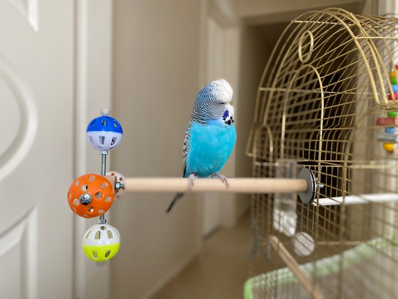 Perch Toy with Rotating Balls for Budgies, Budgerigars, Parakeets, Parrots, Cockatiels, Parrotlets, Lovebirds, Ringnecks, Conures and birds. image 4