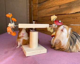 Guinea Pig double feeder wheel, guinea pig toys, accessories, food, treat, cage