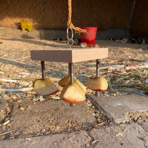 May include: A wooden square platform with four screws holding dried apple slices. The platform is hanging from a rope.