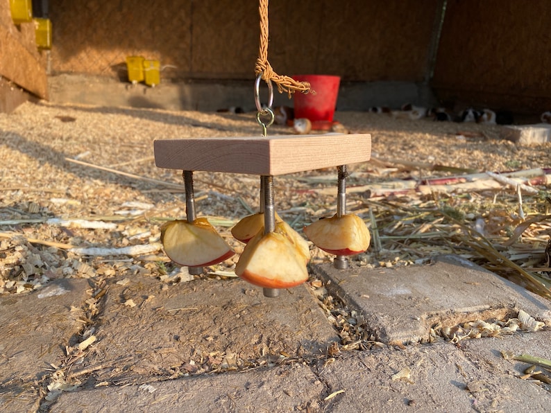 May include: A wooden square platform with four screws holding dried apple slices. The platform is hanging from a rope.