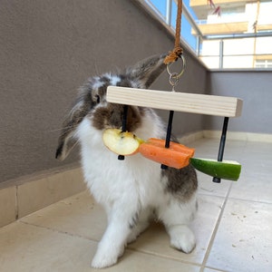 Rabbit food hanging toy, food holder for bunnies, bunny toys, rabbit feeder, rabbit cage accessories, chew ornament
