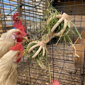 Spinning Feeder Ball Toy for Chickens, Food Holder for Backyard Coops, Enrichment Hay Ball, Gift for Duck Goose Keeper, Flock, Hens, Poultry