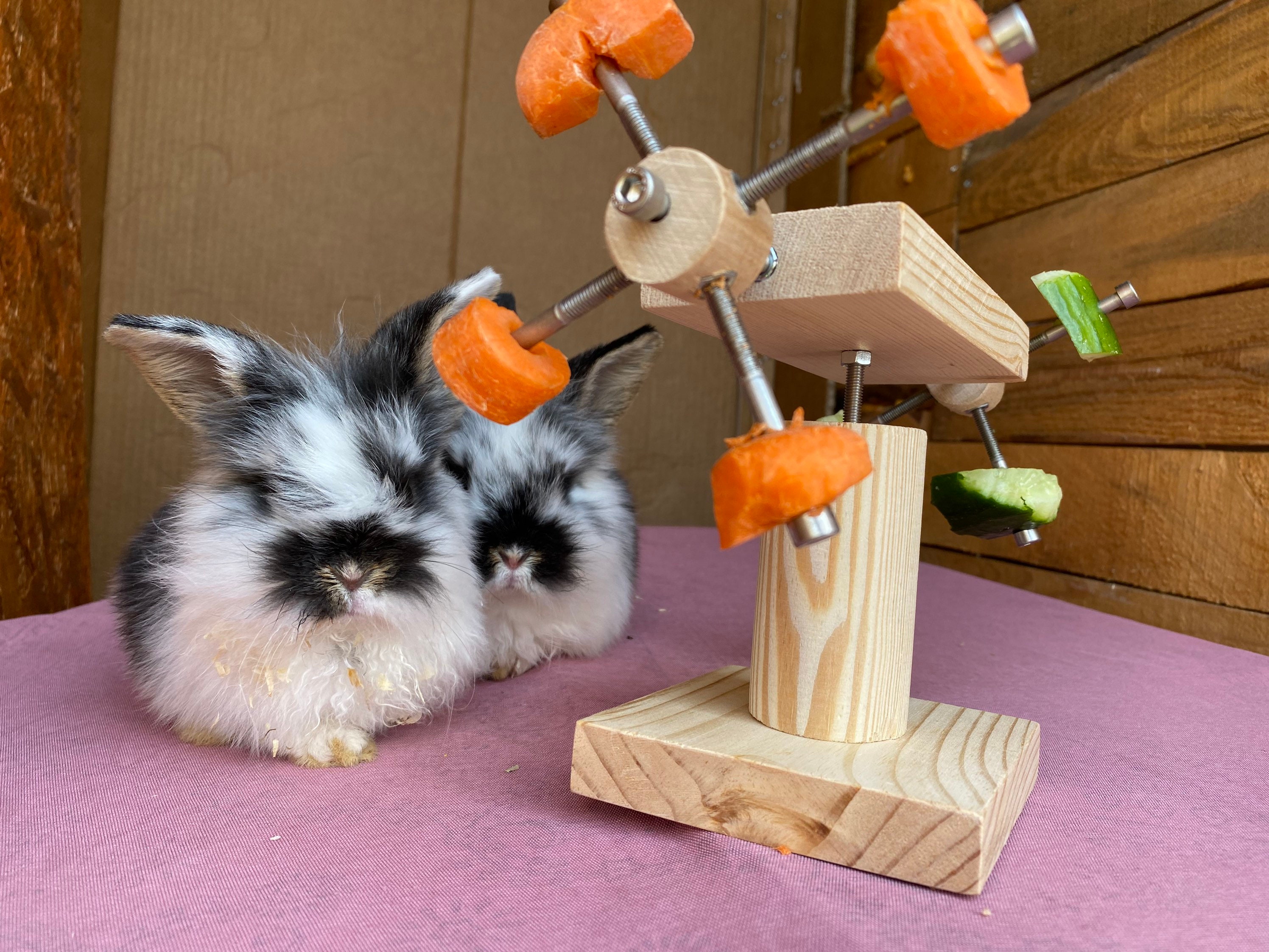 Rabbit Feeder Stand Rabbit Toy Rabbit Wheel Chewing Wood Cage