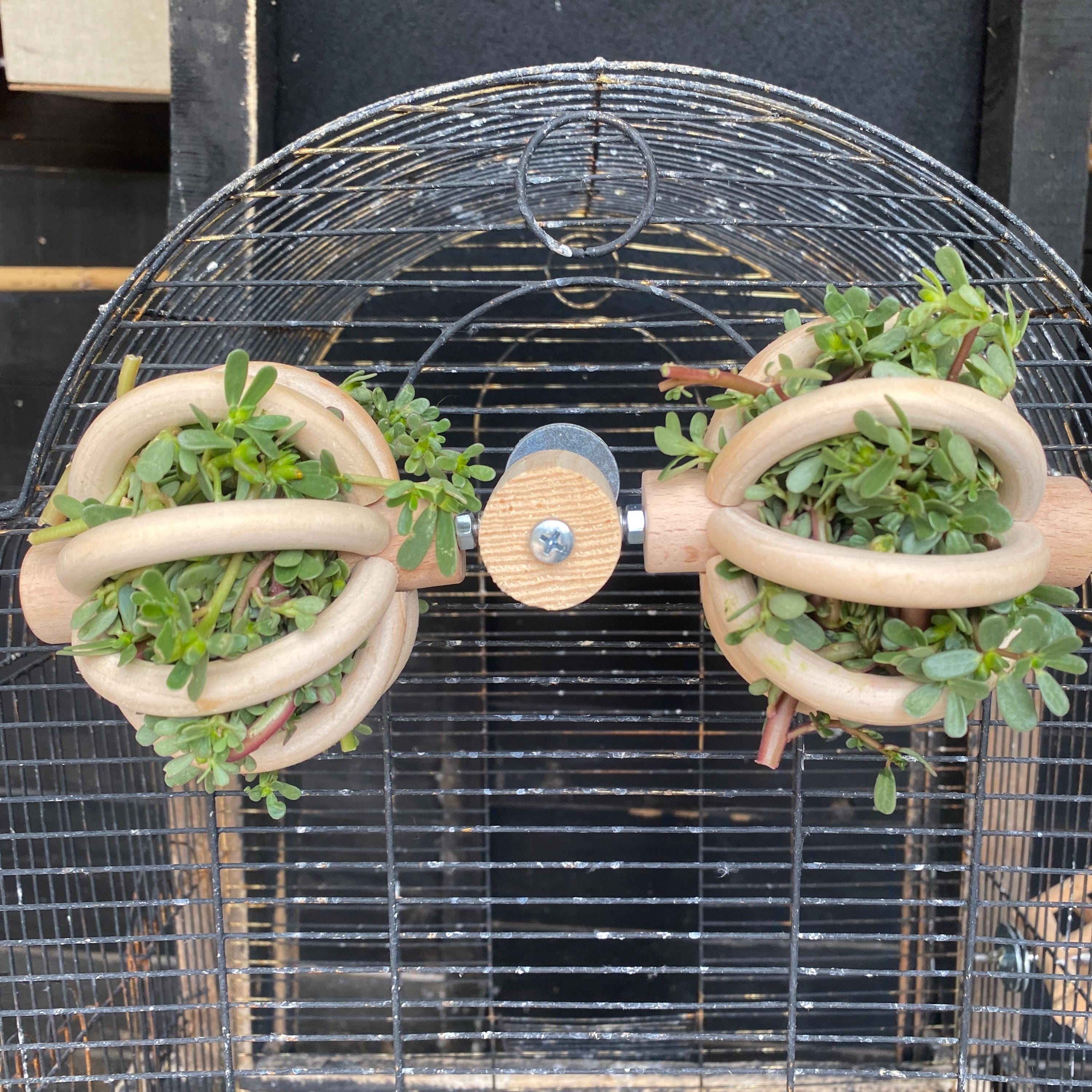 2 Stück Vögel Futterhalter Clip – Aus Metall, Für Papageien, Wellensittiche & Mehr – Für Obst, Gemüse & Futter – Einfache Käfigmontage, Rostfrei & Langlebig