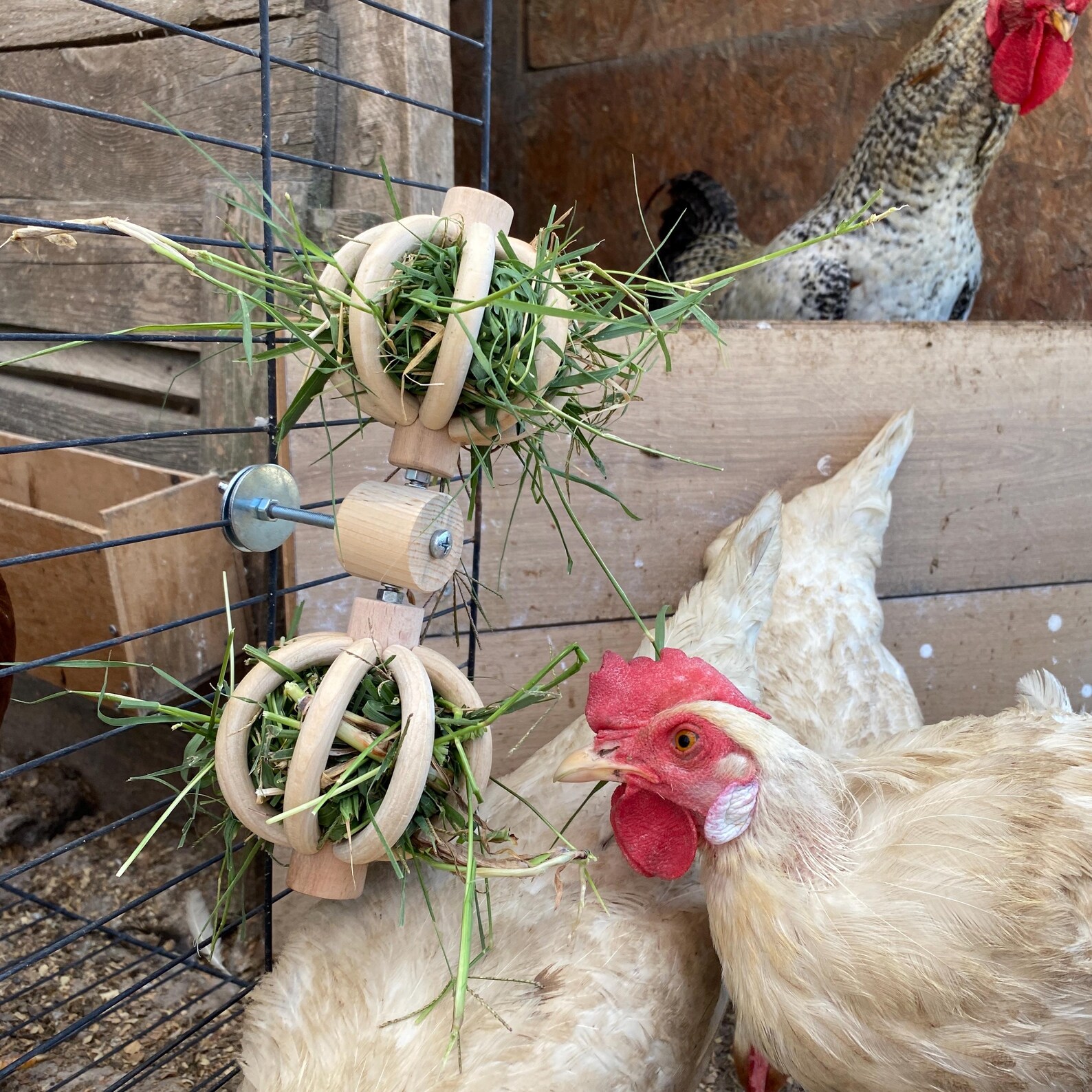 Spinning Feeder Ball Toy: Chicken Coop Enrichment, Food Holder - Etsy